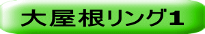 大屋根リング1