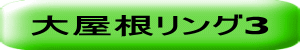 大屋根リング3 